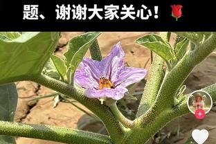 十分积极！泰特9中4&三分4中1 得到10分7板3助1断